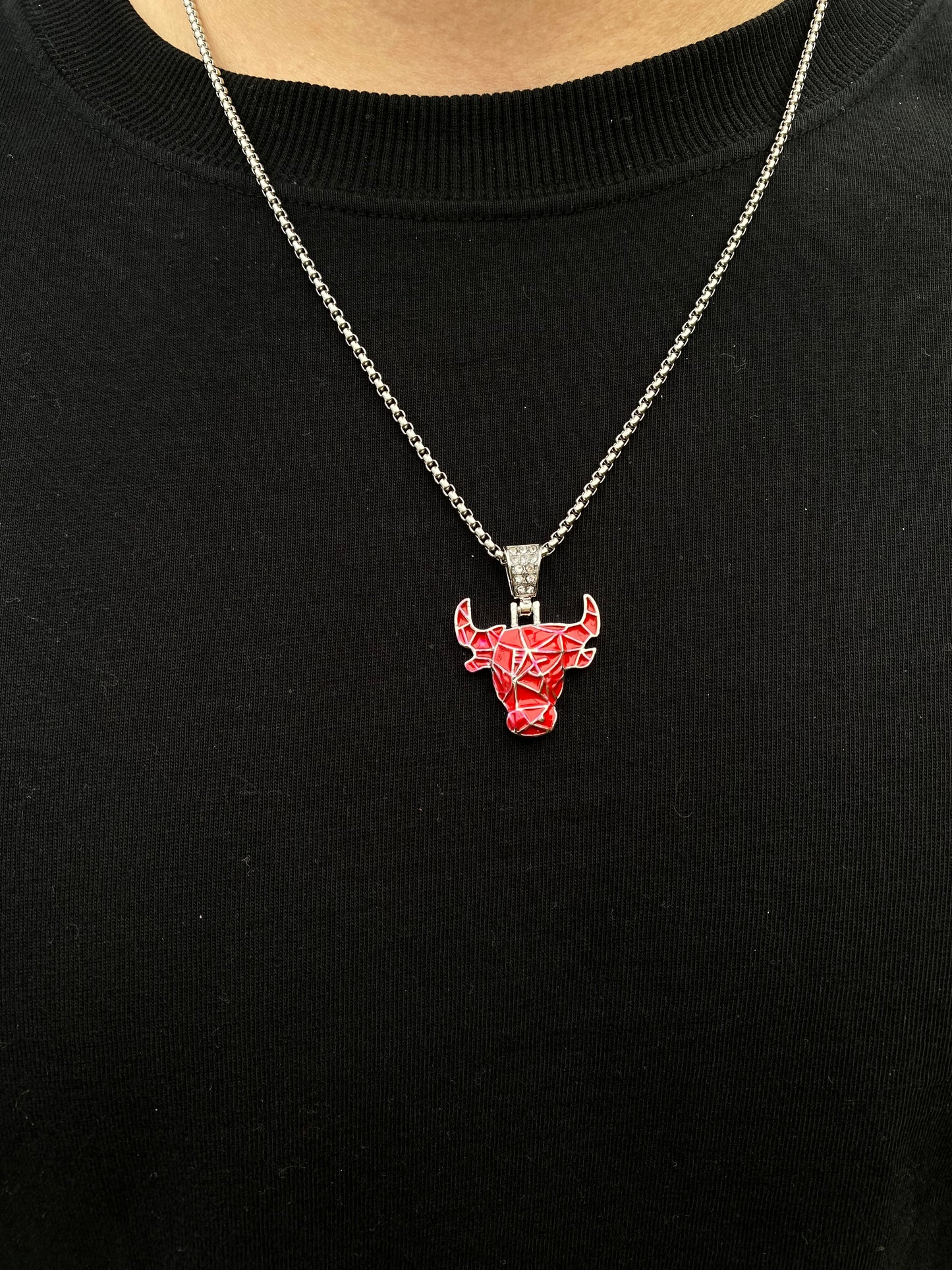 Dije Chicago bulls