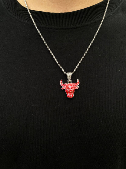 Dije Chicago bulls