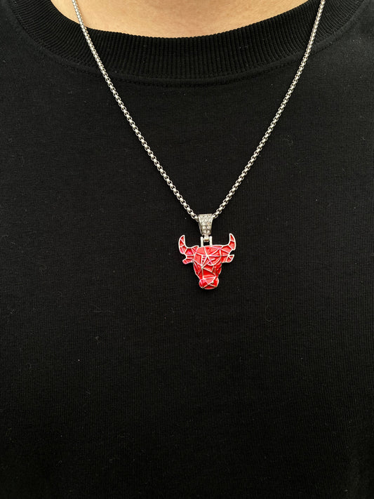 Dije Chicago bulls