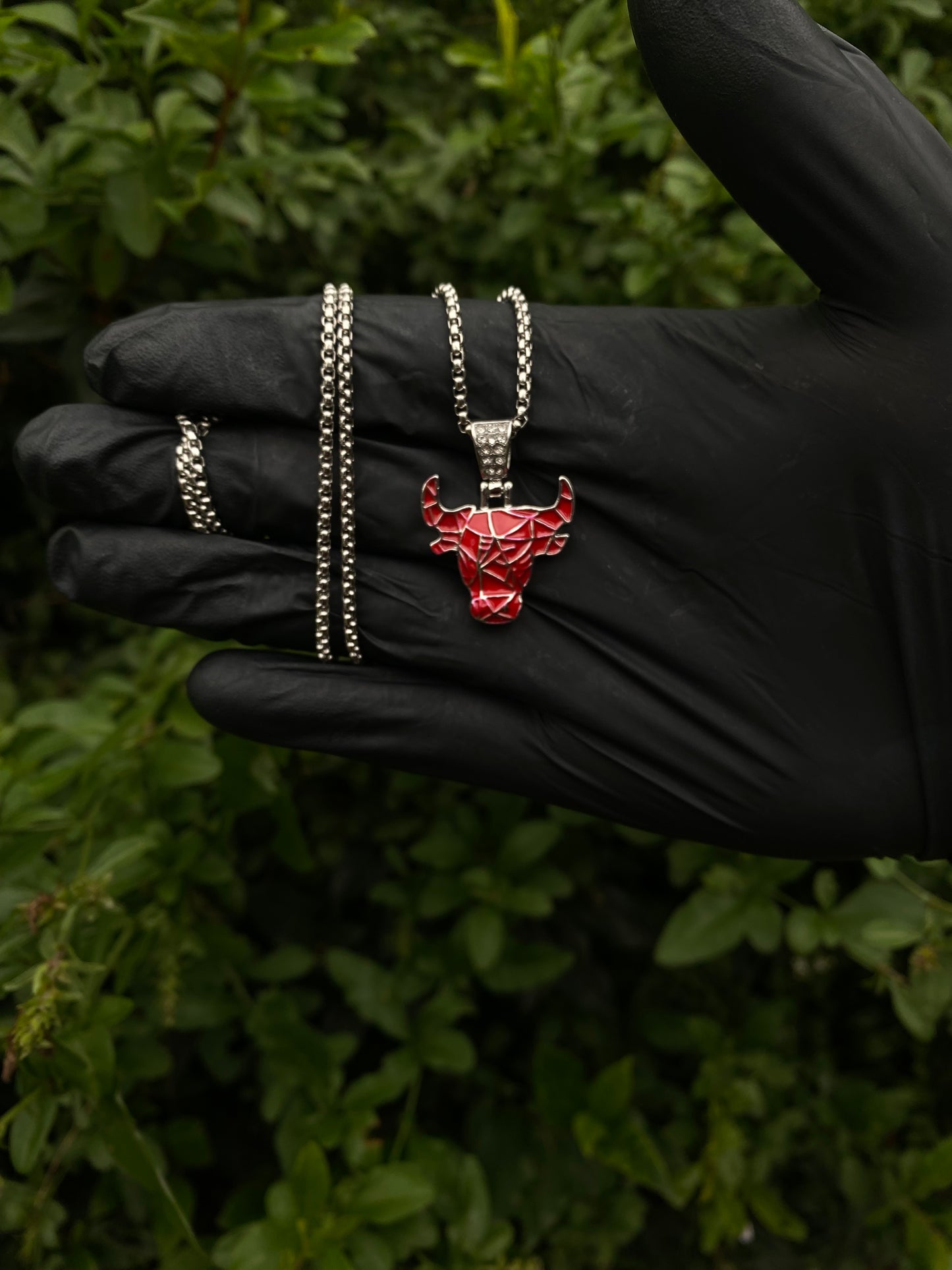 Dije Chicago bulls