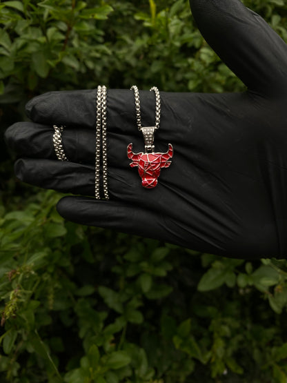 Dije Chicago bulls