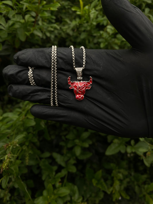 Dije Chicago bulls